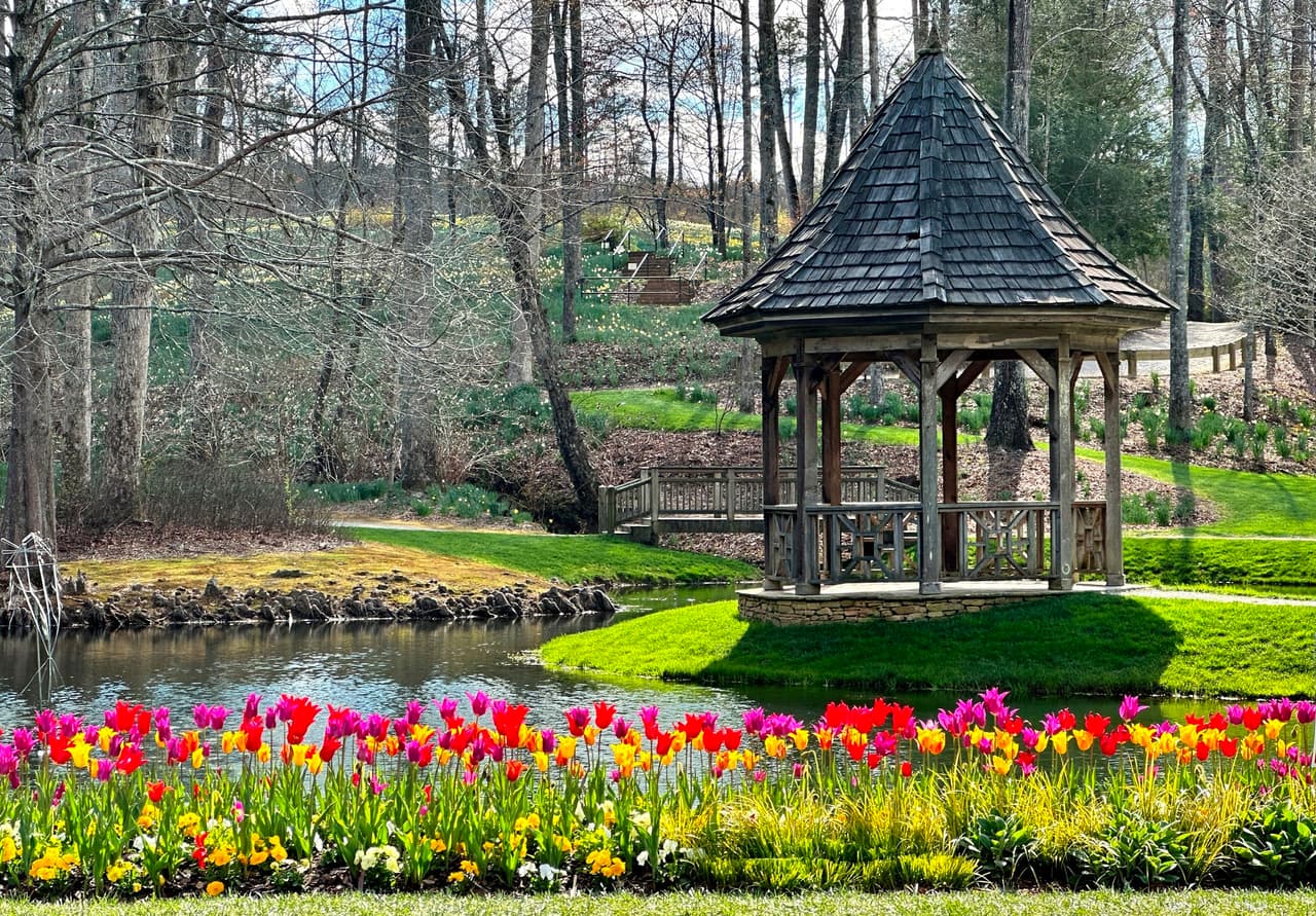 <b>Gibbs Gardens (Ball Ground)</b>
<br>
<b>Sitio web</b>: 
<a href="https://www.gibbsgardens.com/">https://www.gibbsgardens.com/</a> 
<br>
<b><a href="https://maps.app.goo.gl/4s39VsoP7NPp7ZDs9">Cómo llegar</a> </b>
<br>
<br>Visita Gibbs Gardens en primavera y disfruta de millones de narcisos dorados cubriendo campos ondulados en el norte de Georgia. Ubicado a 60 millas al norte de Atlanta, Gibbs Gardens es un lugar espectacular para pasear por senderos, atravesar colinas y pasear por el bosque para experimentar más de 220 acres de jardines especiales, incluidos los jardines japonés y Waterlily.