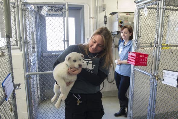 Además recalcó "este granjero es el primero, y esperamos que él sea un ejemplo modelo para que otros lo sigan. Ofrecerle ayuda eso fue algo que hicimos con gusto".