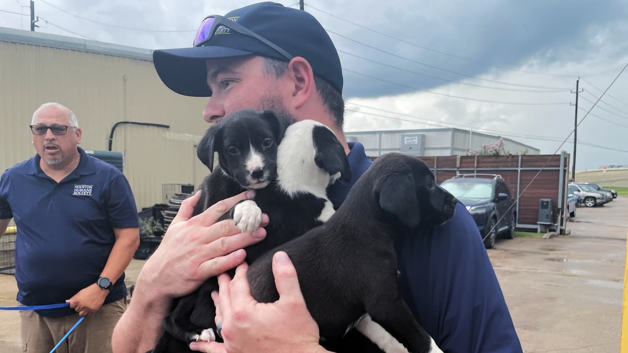 <b><a href="https://www.univision.com/local/houston-kxln/abogado-ultimos-minutos-de-su-esposa-en-inundaciones-texas" target="_blank">Autoridades en el condado de Kerr confirmaron al menos 95 muertos</a></b> y 161 desaparecidos por las inundaciones del 4 de julio. Además, señalan que entre las víctimas 
<b>aún faltan por identificar a 14 adultos y 13 menores de edad.</b>