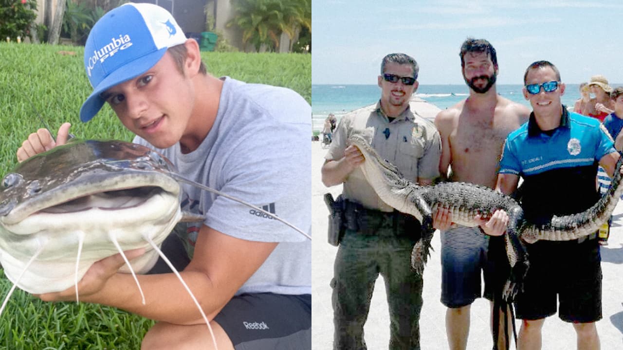 Un cocodrilo en South Beach y un bagre de película de terror: dos imágenes sorprendentes que nos dejó la naturaleza este fin de semana en Miami
