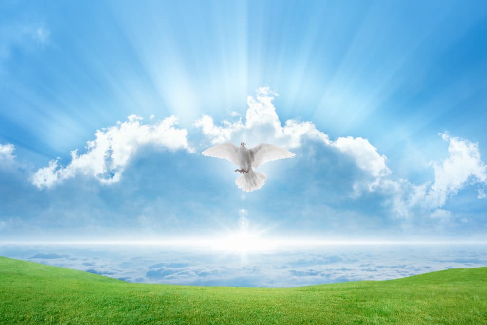 <i>Con todo amor y humildad me dirijo a ti Padre Celestial para pedirte que me bendigas, que pongas Tu Mano Todopoderosa sobre mí y los míos. Bendice nuestra vida, Señor. Bendice nuestros caminos. Bendice nuestras actividades y nuestras relaciones.</i>