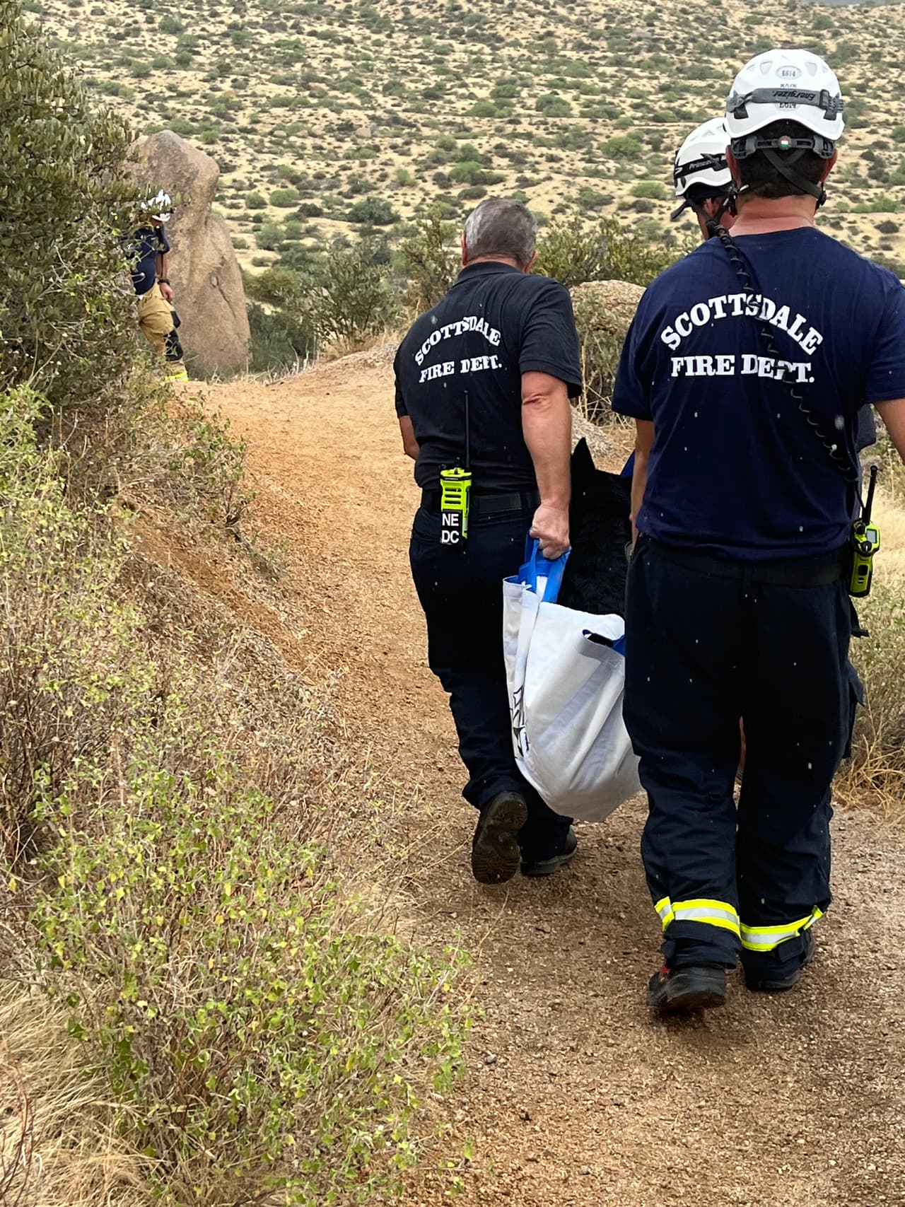 Las precauciones que las personas suelen tener en momentos de calor valen también para mascotas. Mantén siempre a tu perro fresco e hidratado, evita pasearlo en momentos de mucho calor y por ningún motivo lo dejes en el auto.