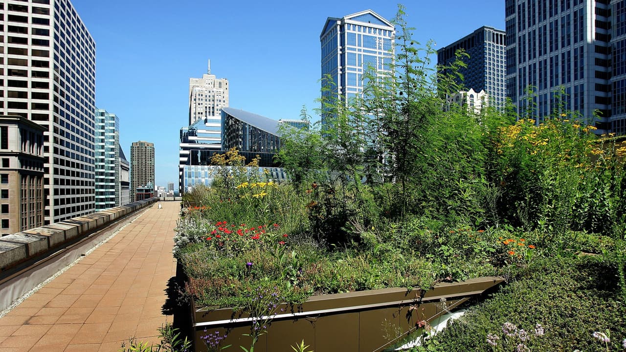 Viernes con temperaturas veraniegas, fuertes vientos y cielo mayormente soleado