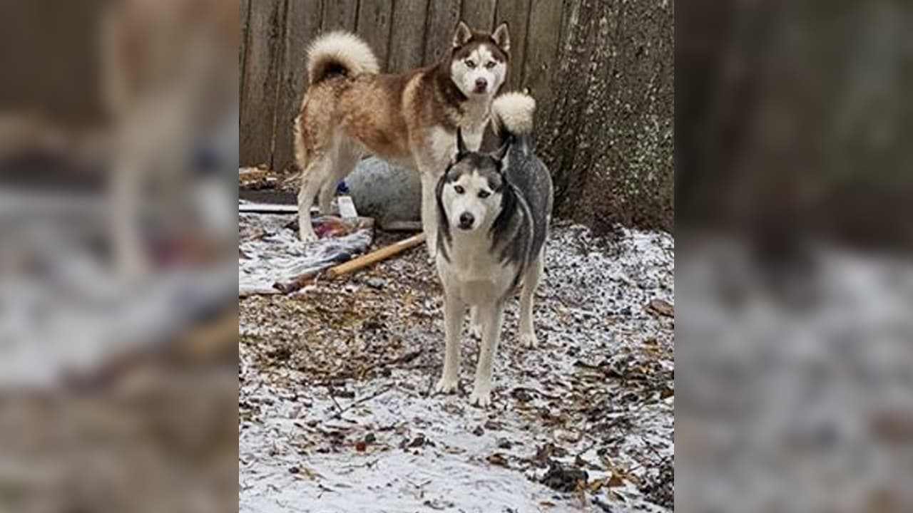 Enviada por la usuaria de Facebook Dinora Benavidez.