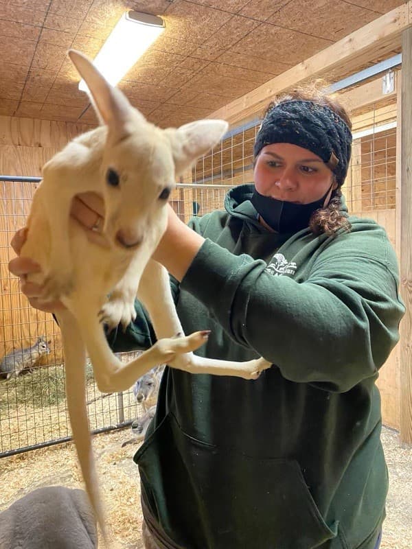 "La combinación genética entre Rosie y Boomer es lo que ha dado lugar a esta sorprendente coloración", concluyen.