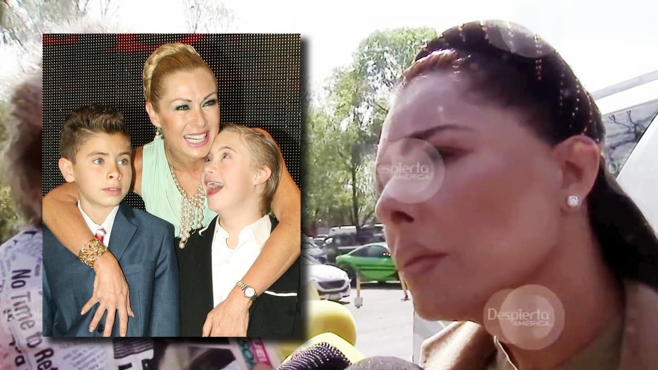 Hizo hincapié en que eso es "obvio" porque "necesitan de su apoyo y eso lo tienen que entender”. "Son menores de edad que siempre han estado apapachados por mí", explicó la actriz y volvió a decir que, hasta ahora, Juan Collado no ha pedido que los jovencitos lo visiten. 
<br>