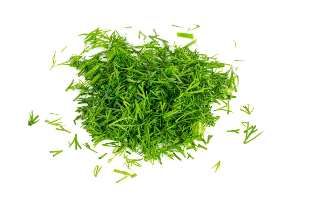 Según las creencias populares pasadas de generación en generación, el eneldo se ha usado por muchos siglos como un amuleto herbal para desviar la brujería, romper maldiciones y alejar a los demonios y espíritus malévolos que intentan hacernos daño.