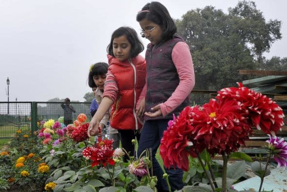Evite que estén en tiempo prolongado al aire libre y manténgalos hidratados para que no sufran de hipotermia.