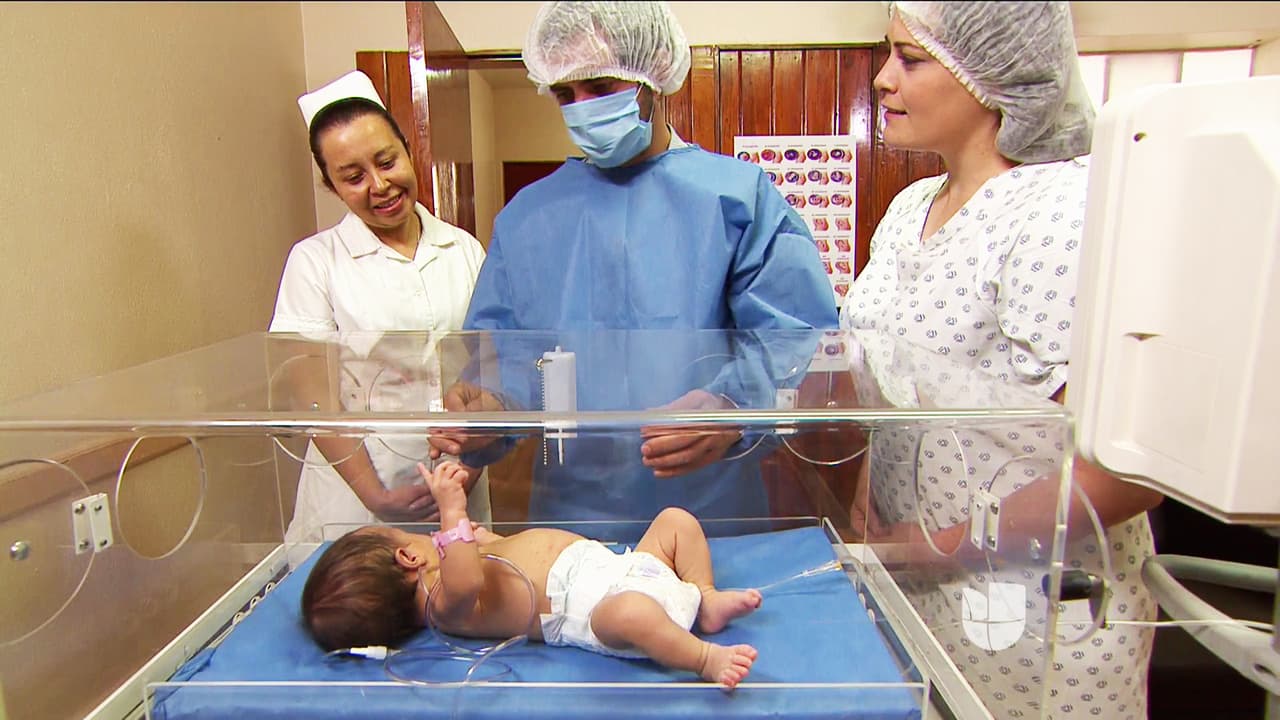 ¡Hasta te aliaste con Daniel para pelear por ella!