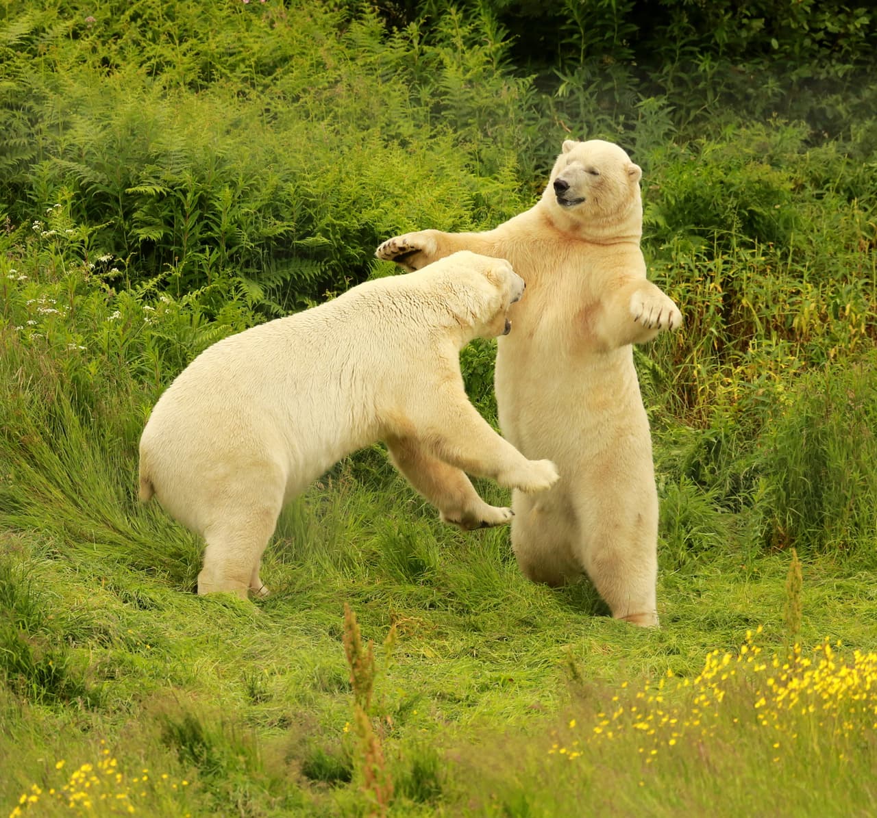 Ellos le dicen 'adiós' a su juventud y 'hola' a su etapa madura.