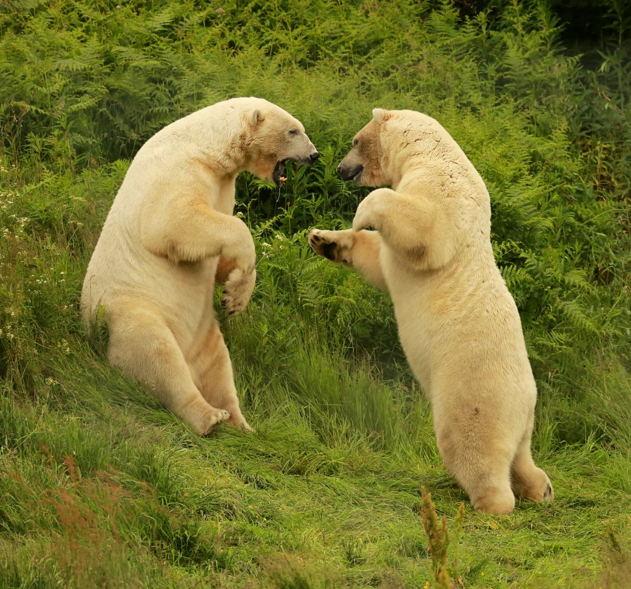 ¡En el lugar menos pensado!