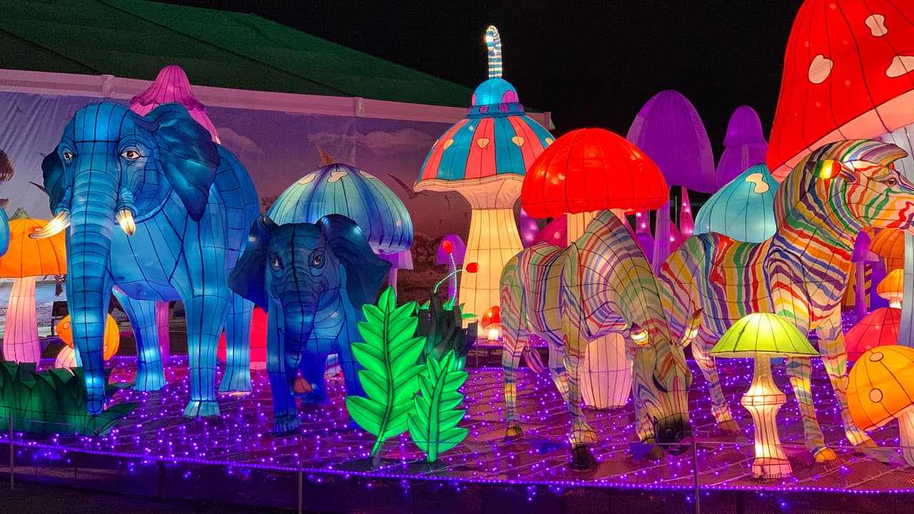 La entrada al festival cierra 30 minutos antes de la hora en que termina la exhibición.