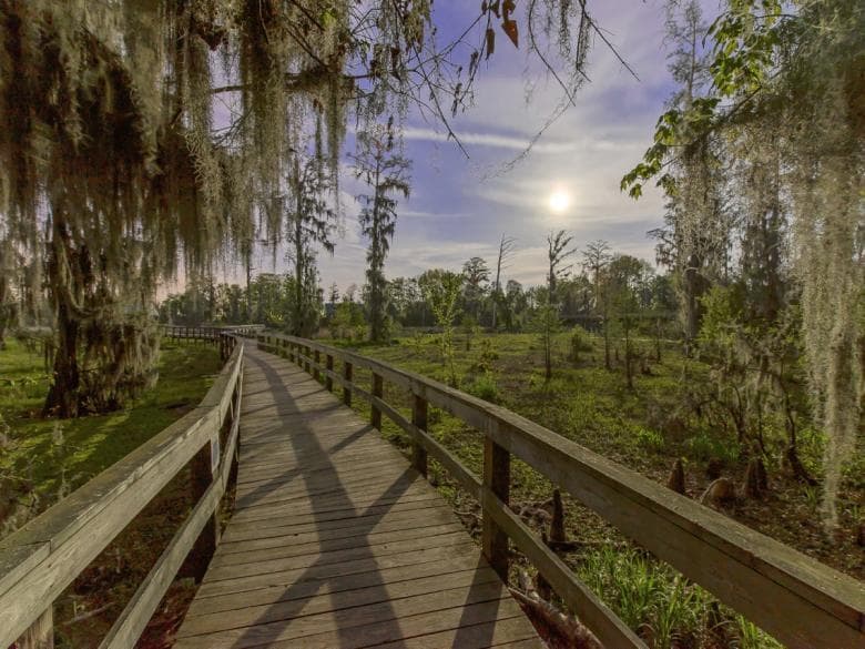 Si lo tuyo es visitar los senderos, tampoco puedes perderte 
<b><a href="https://www.univision.com/local/atlanta-wuvg/los-mejores-senderos-para-visitar-en-georgia-primavera-fotos" target="_blank">estas recomendaciones</a></b> en el estado.