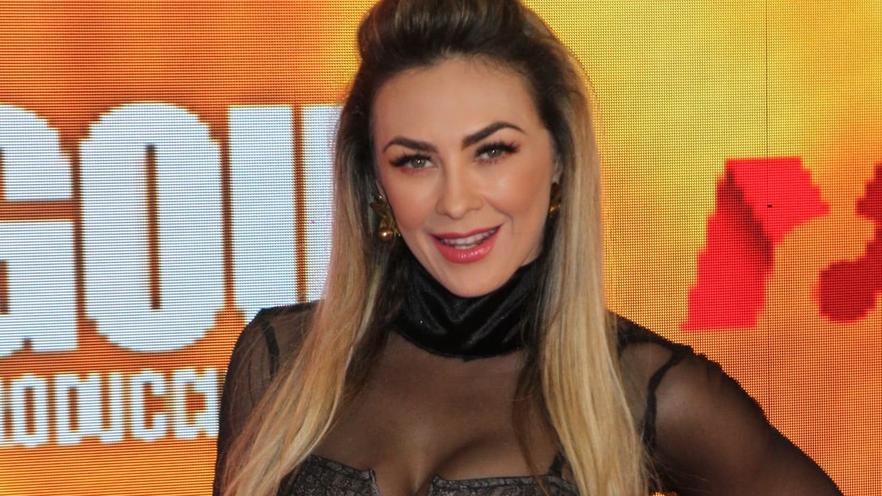 Así ha logrado Aracely Arámbula aumentar su fortuna y criar a sus hijos sin Luis Miguel