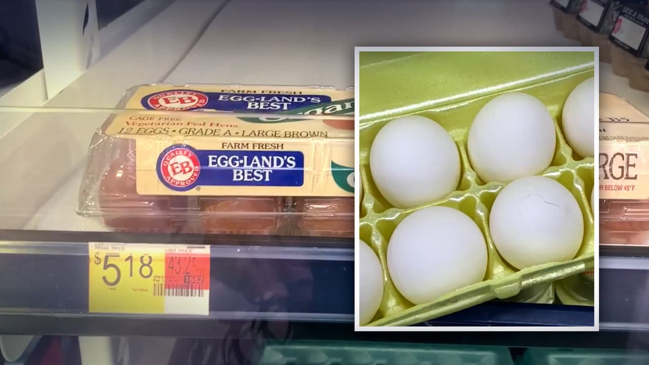 El huevo está muy costoso en el estado de Texas, como en el resto del país, y durante un recorrido por diferentes supermercados encontramos que una docena puede llegar a costar más de $7.00.