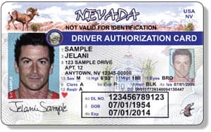 <b><a href="https://www.univision.com/temas/nevada">Nevada</a></b>. Los residentes que no pueden cumplir con los requisitos de prueba de identidad para una licencia de conducir o tarjeta de identificación pueden obtener una Tarjeta de Autorización de Conducción (DAC). Estas tarjetas autorizan al titular a conducir un vehículo de motor en las calles y carreteras públicas del estado pero no son válidas como identificación para obtener cualquier beneficio, licencia o servicio estatal, explica la 
<a href="https://dmvnv.com/dac.htm" target="_blank">página web del Departamento de Transporte</a>.