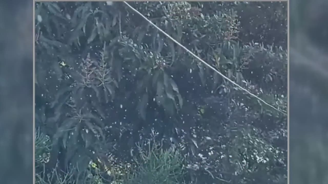 Reportan que cayeron “chubascos de nieve” en Palm Beach y Broward 