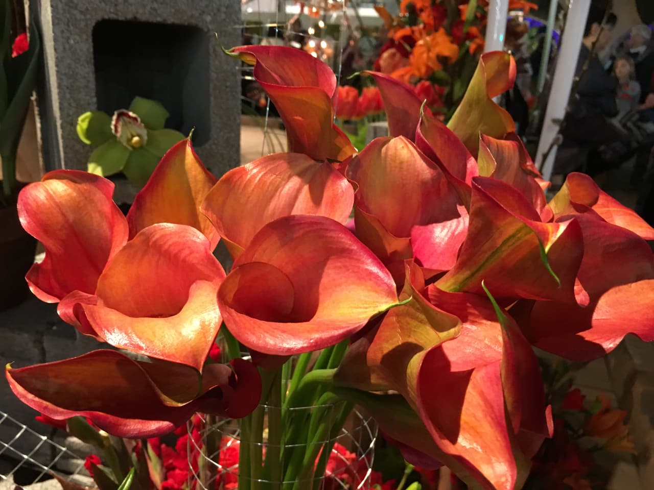 ¡Gracias por tanto, Mamá! 
<br>