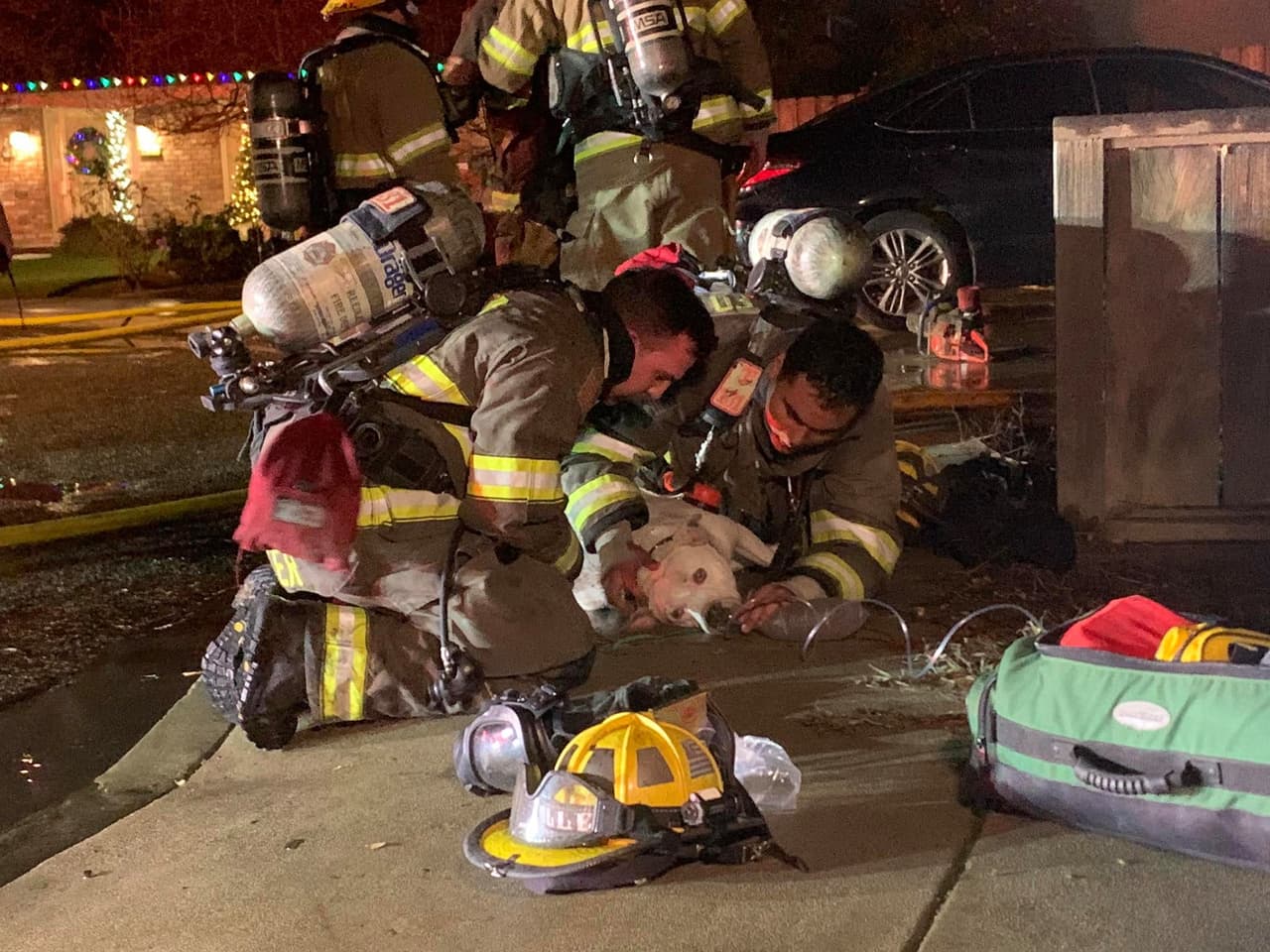Mascota logra sobrevivir, pero familia de Reedley lo pierde todo tras incendio