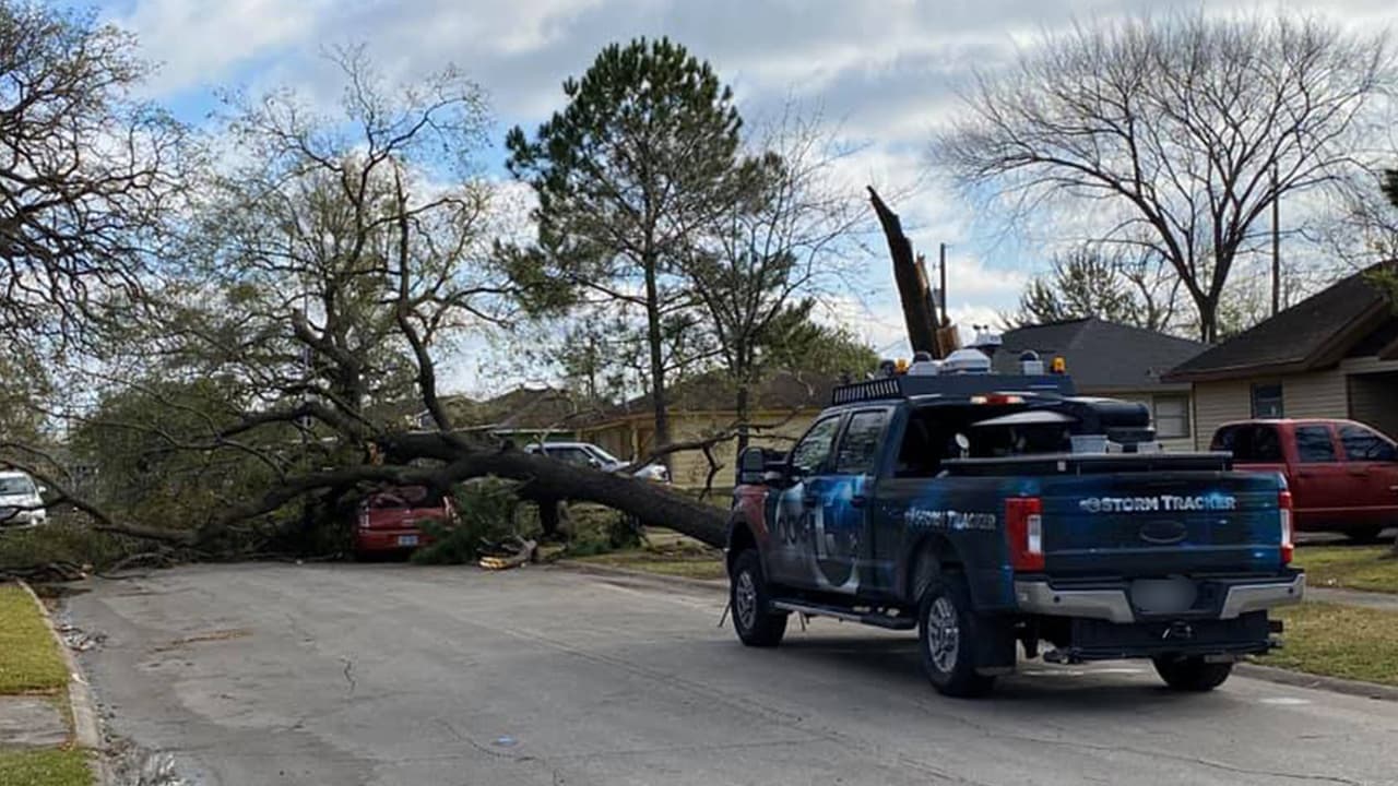 Se reportaron árboles caídos en varias zonas de la ciudad.