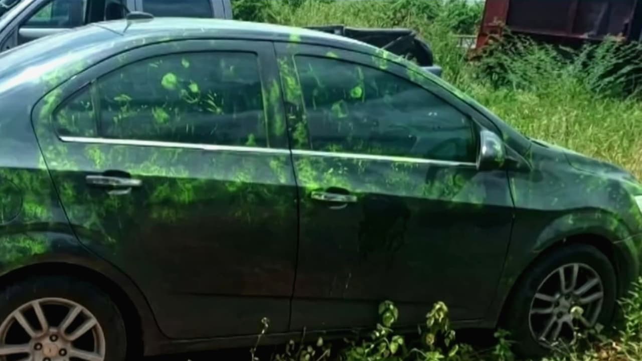 Hallan cuerpo y carro que estarían vinculados con Yulixa Toloza, mujer que desapareció al ir a clínica clandestina en Colombia