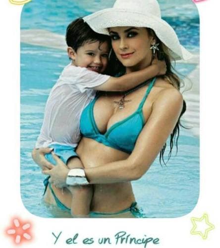 De aquel noviazgo nacieron dos hijos: 
<b><a href="https://www.univision.com/entretenimiento/celebridades/los-hijos-de-aracely-arambula-y-luis-miguel-ya-son-ninos-grandes-fotos" target="_blank">Miguel y Daniel</a></b>. La relación entre la actriz y el cantante se fue deteriorando hasta que se separaron en el año 2009. 
<br>