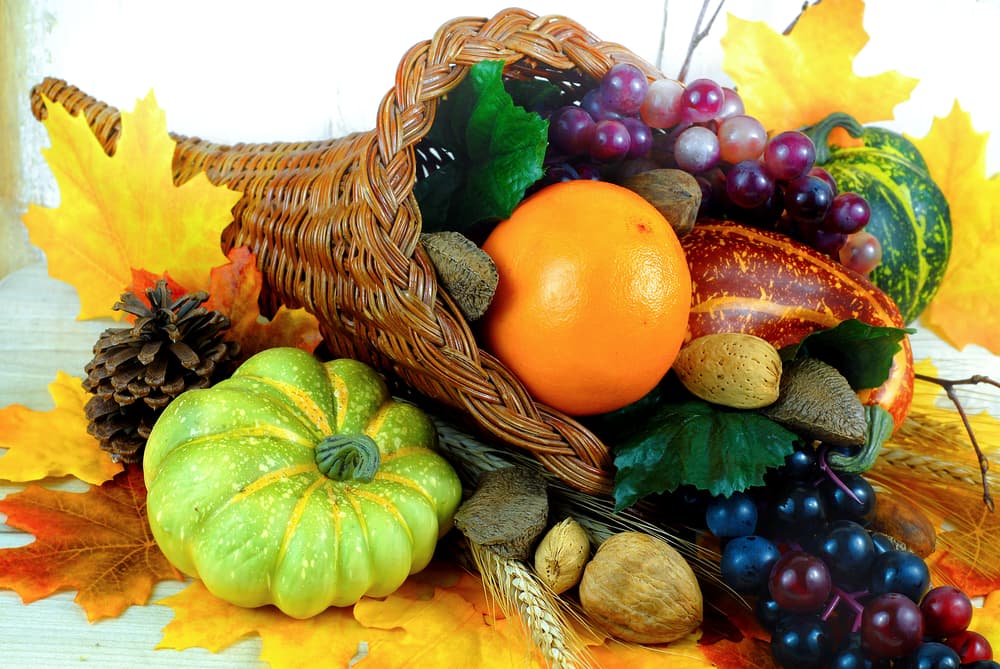 Es el momento del “parto cósmico” y la actitud con la que recibamos esta nueva criatura en nuestras vidas influirá notablemente en la forma en que nos preparemos para el nuevo año 2024 que comenzará en tres meses y una semana.