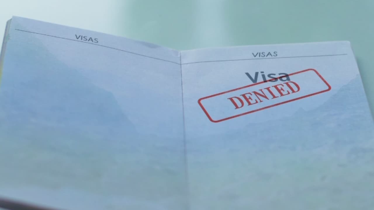 Suspensión de visas: ¿cuándo inicia y para quiénes aplica?