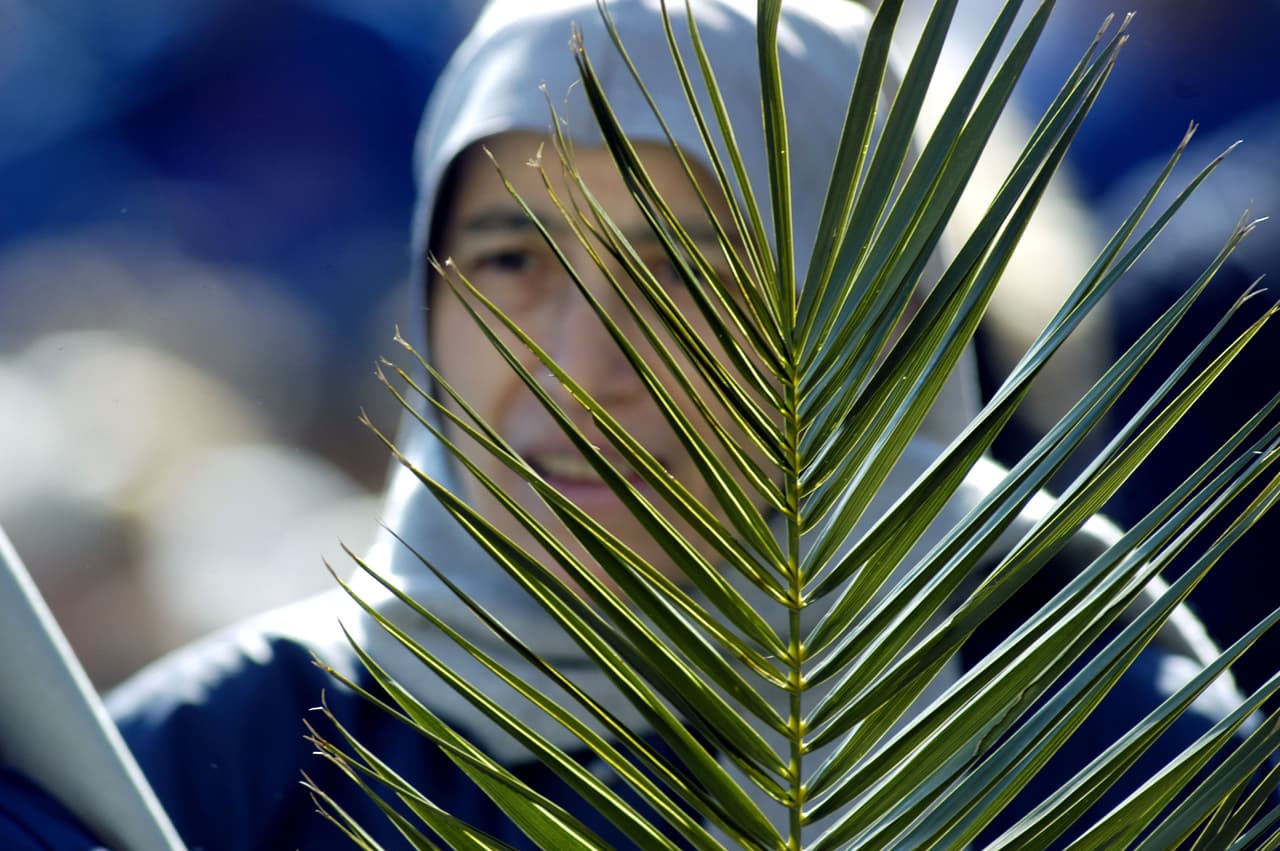 La gente se lleva sus palmas benditas a sus casas o trabajos y en la mayoría de los casos con ellas forman una cruz que se debe colocar detrás de nuestras puertas. Esto nos debe recordar que Jesús es nuestro rey y que debemos siempre darle la bienvenida en nuestro hogar.