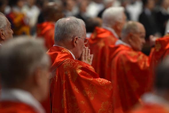 Sodano, que no participará en el cónclave al tener 85 años, expresó la gratitud de los cardenales a Benedicto XVI y pidió a Dios que dé "otro Buen Pastor" a la Iglesia.