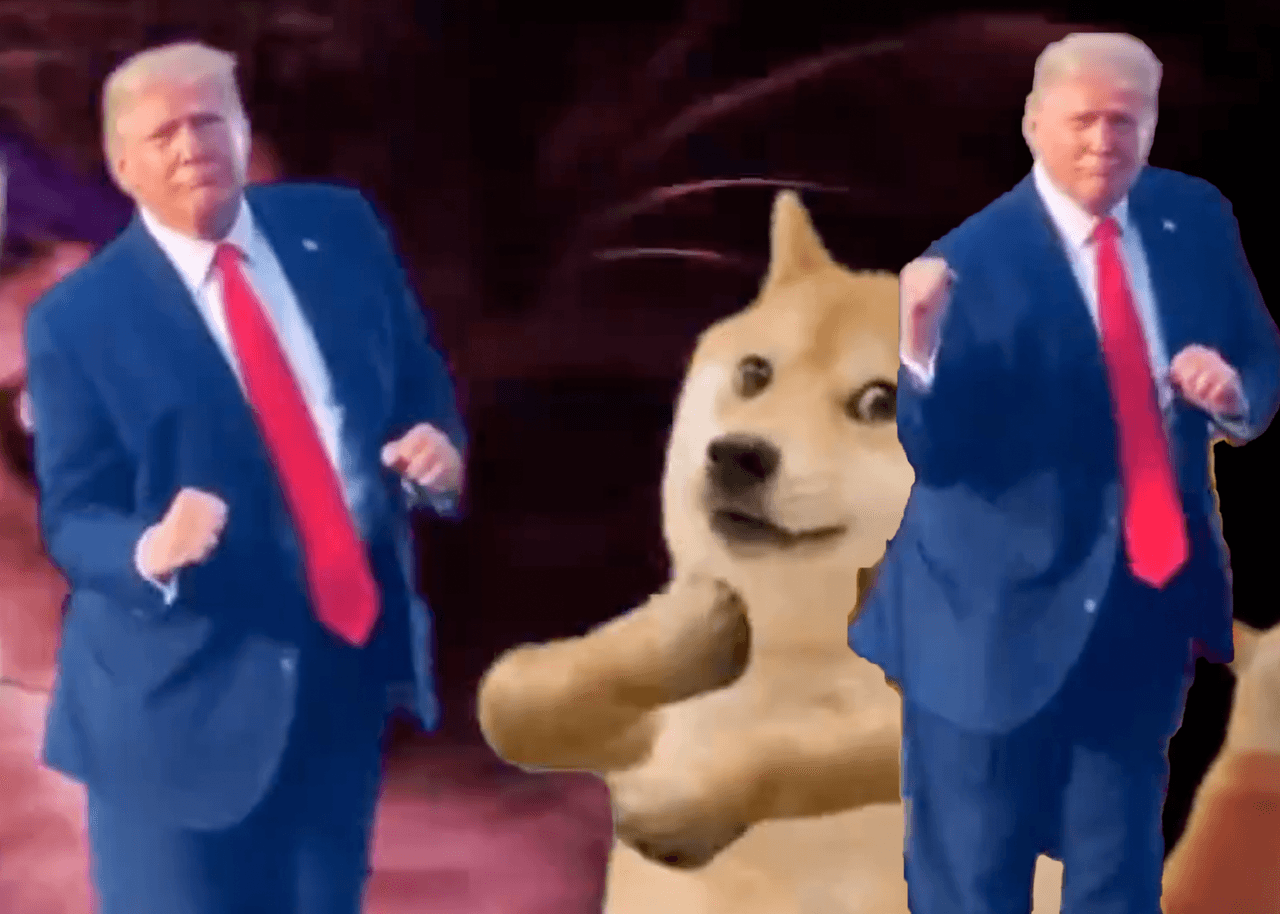 Ni Donald Trump, ni Kamala Harris: los perros y los gatos ganaron el debate