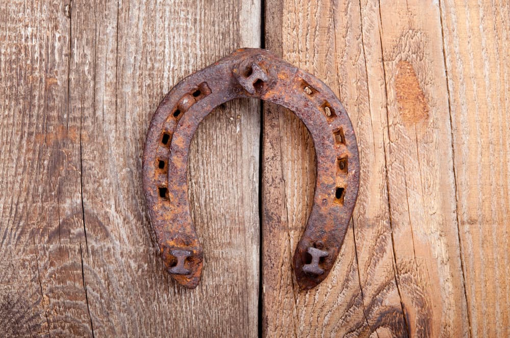 La herradura también es símbolo de suerte y prosperidad. Ella les traerá buenas noticias, muchas oportunidades para crecer. Es el amuleto perfecto en muchas culturas y aquí no es la excepción. No obstante, por estar tan centrados en sus objetivos, luego pierden la perspectiva sobre otras cosas que importan, como la salud y el amor.