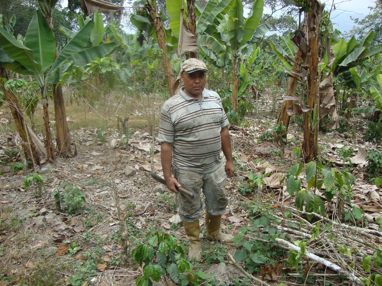 Antes exportaban café y ahora sobreviven del trueque: la crisis agrava la pobreza rural en Venezuela