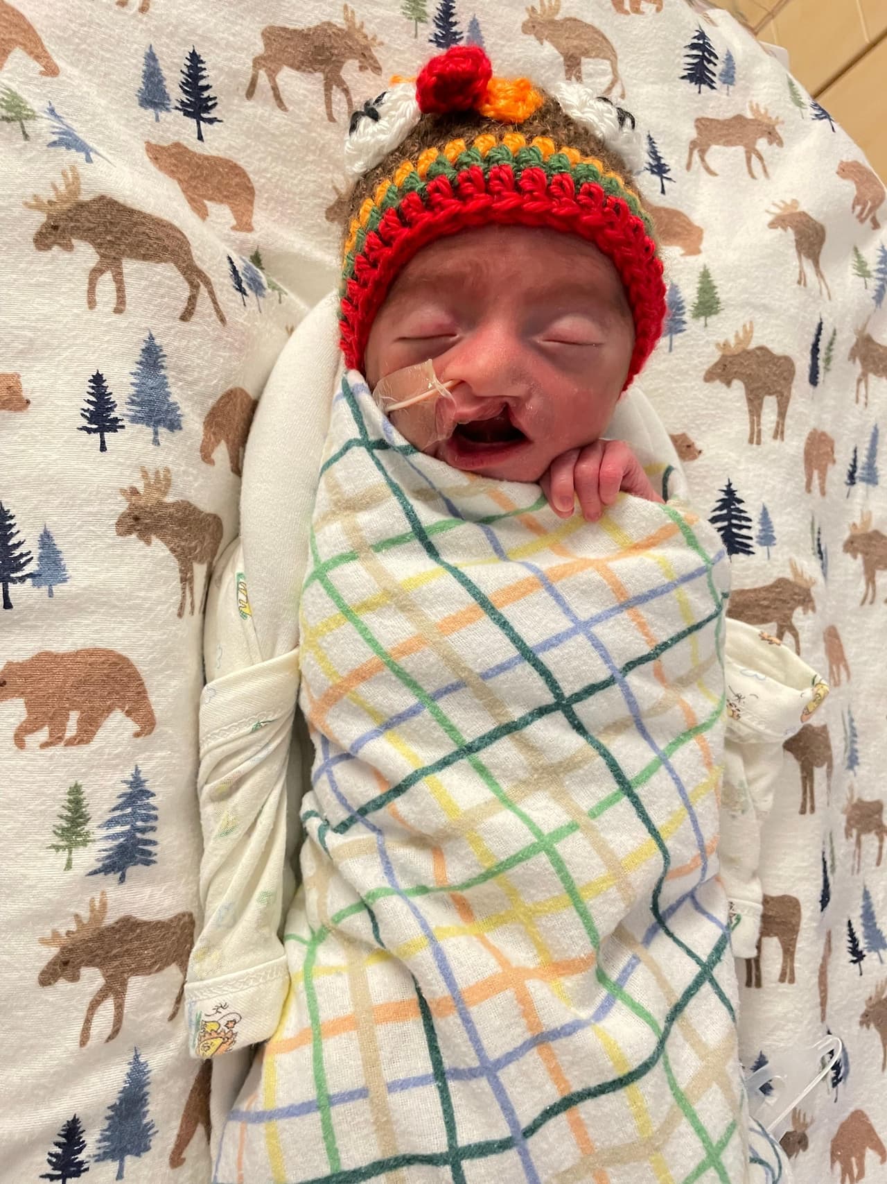 Con un lindo gorrito de pavo, este bebé toma una siesta enrollado en su manta.