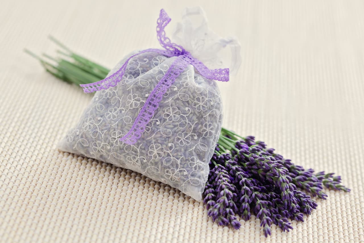 Si en tu casa tienes muebles de madera, debes ser cuidadoso, pues al llegar el frio de nuevo podrías encontrarte con tu ropa llena de hoyitos. Para evitar esto, distribuye bolsas antipolillas en las cajas. Los saquitos de lavanda también suelen ser efectivos para alejar a estos insectos de tus prendas favoritas.
