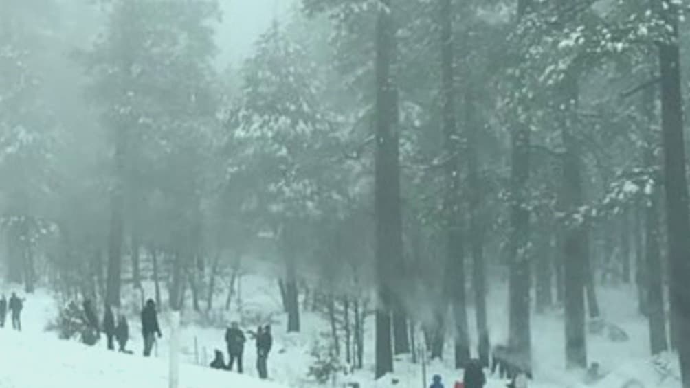 Cancelan clases y cierran oficinas en el norte de Arizona por efectos de la tormenta invernal