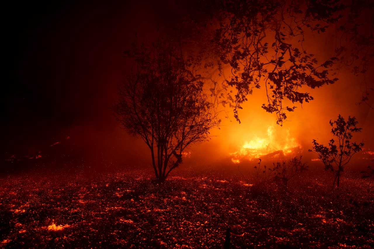 Aunque la universidad dijo que lo peor del incendio ya había pasado por el campus,
<b>las clases se suspendieron</b> este miércoles como precaución, pese a estar en exámenes.