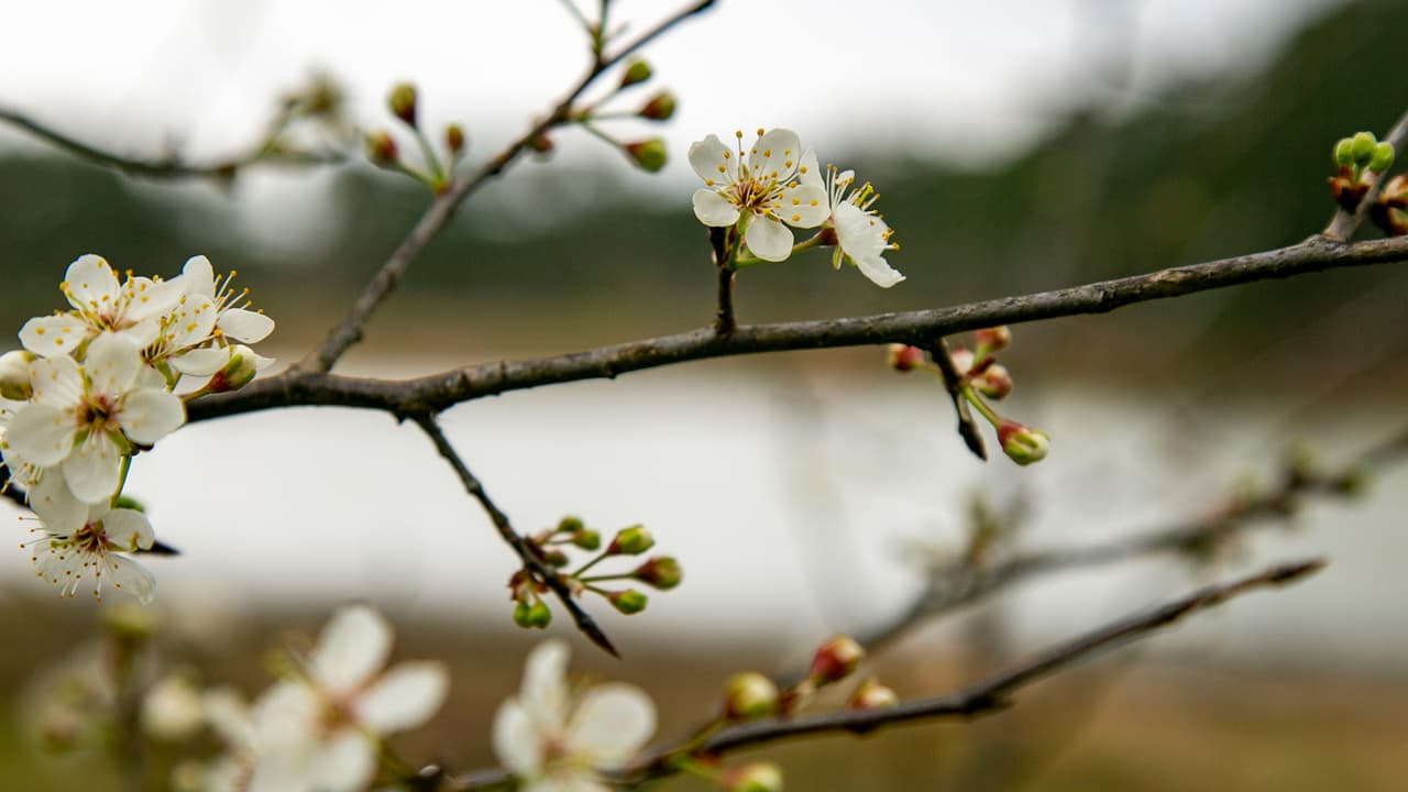 565 Park Road 40 W, Huntsville, TX 77340.