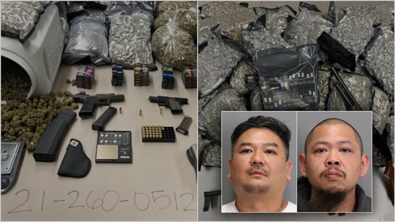 Dos detenidos y $600,000 en marihuana decomisada tras operativo contra casinos ilegales en San José