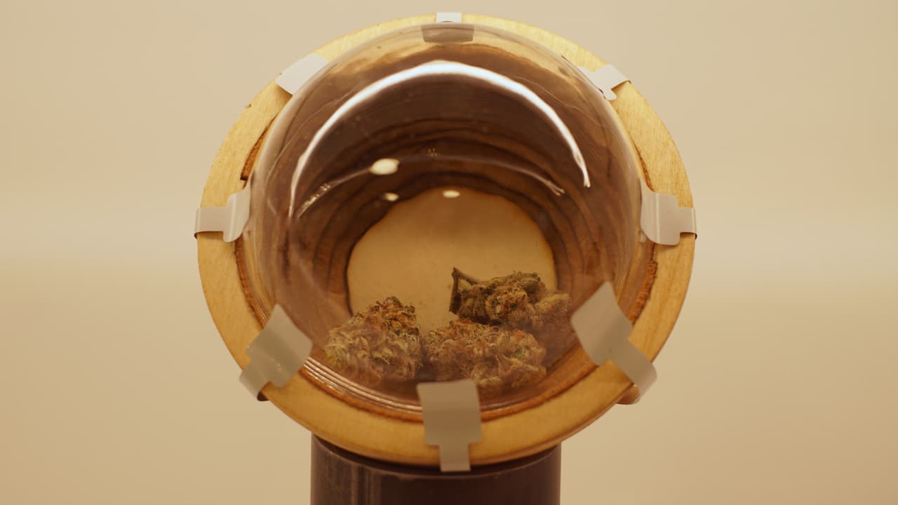 Estos ofrecen distintos productos, que puedes ver a continuación.