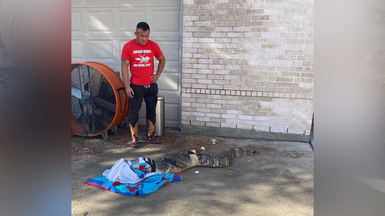 “Tantos años viendo a Steve Irwin, pensé que podía lidiar con cualquier vida silvestre, siempre que no fuera una mantarraya”, indicó el hombre a través de su cuenta de Facebook.