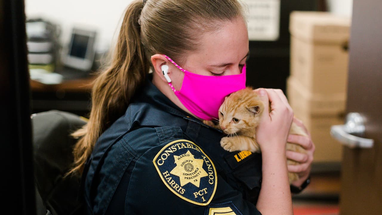 Oficiales del precinto 1 del condado Harris también se involucraron en el rescate que duró más de 6 horas.