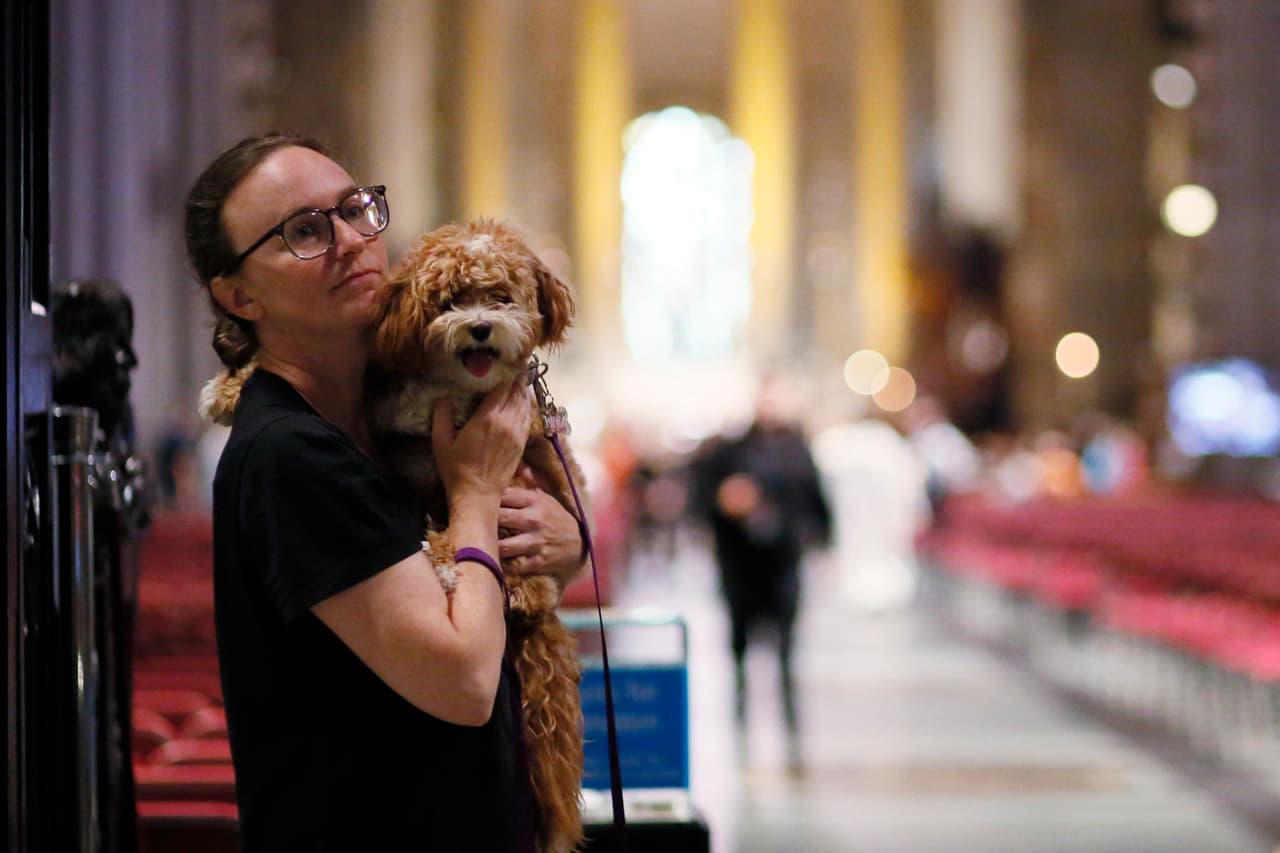 Los sacerdortes de la catedral ofrecieron bendiciones a compañeros peludos, emplumados o escamosos de todas las formas y tamaños.