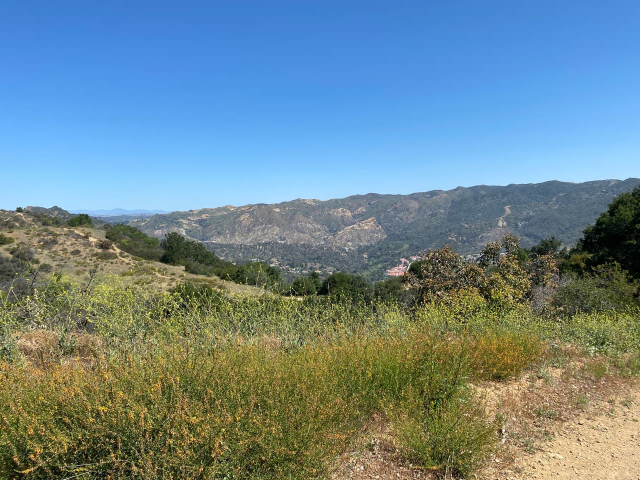 En tu mochila, trae suficientes alimentos ligeros y una bolsa para tu basura. La montaña no la necesita.