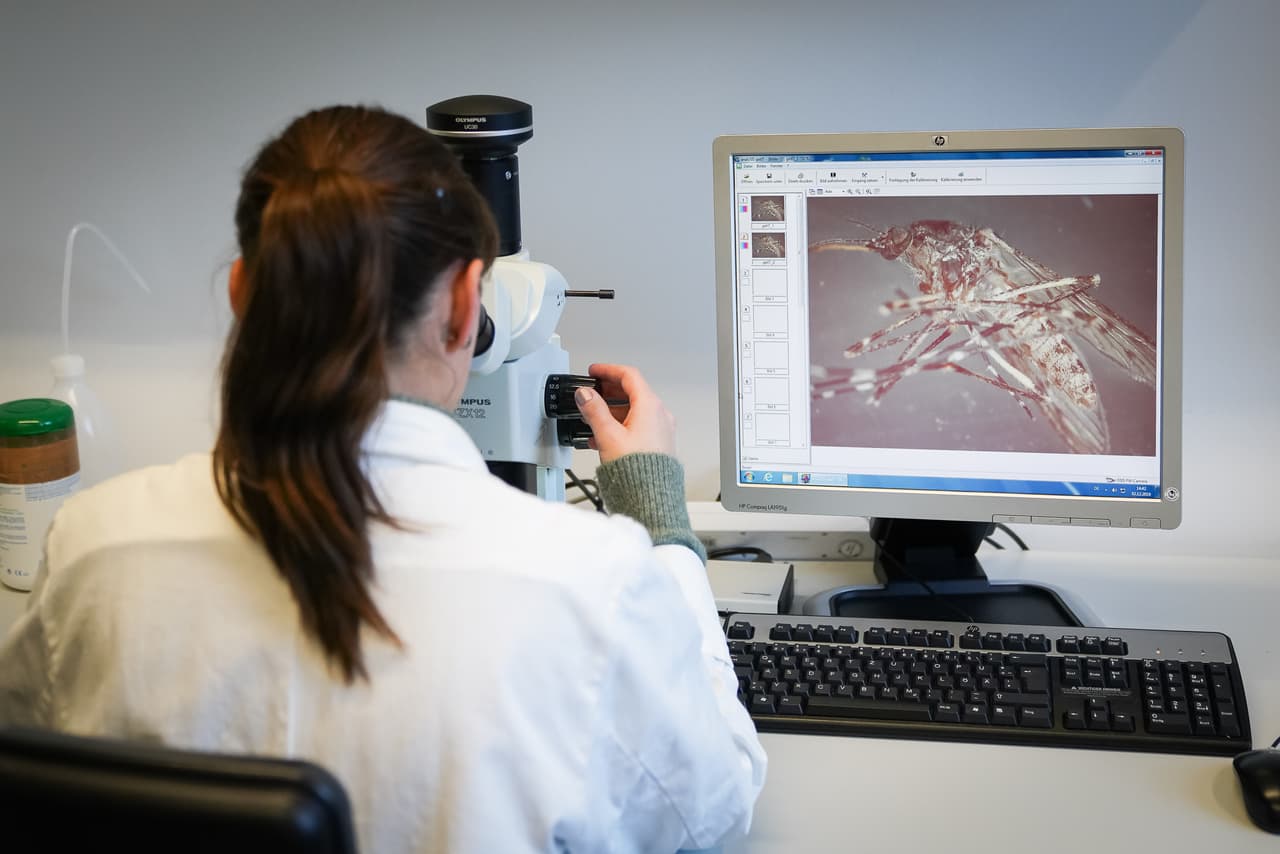 Para más información sobre esta enfermedad y si desea reportar infestaciones de mosquitos puede visitar la página
<a href="http://publichealth.lacounty.gov/media/westnile/">http://publichealth.lacounty.gov/media/westnile/</a>