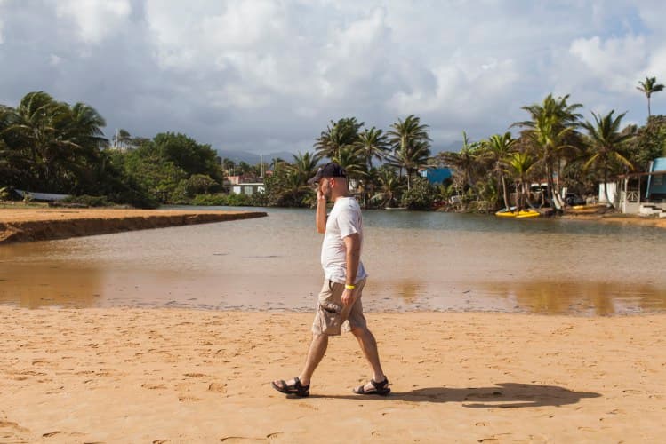 El Corredor Ecológico de Puerto Rico es una zona de anidaje para el tinglar que está en peligro de extinción.