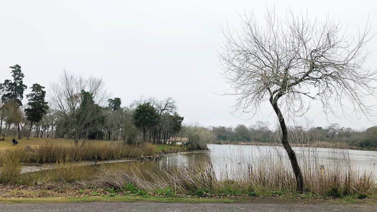 El parque Bay Area está abierto todos los días de 7 am a 10 pm.