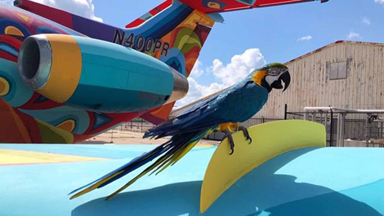 Su arte ha traspasado fronteras y ha tenido la oportunidad de viajar por diferentes países presentando sus obras.