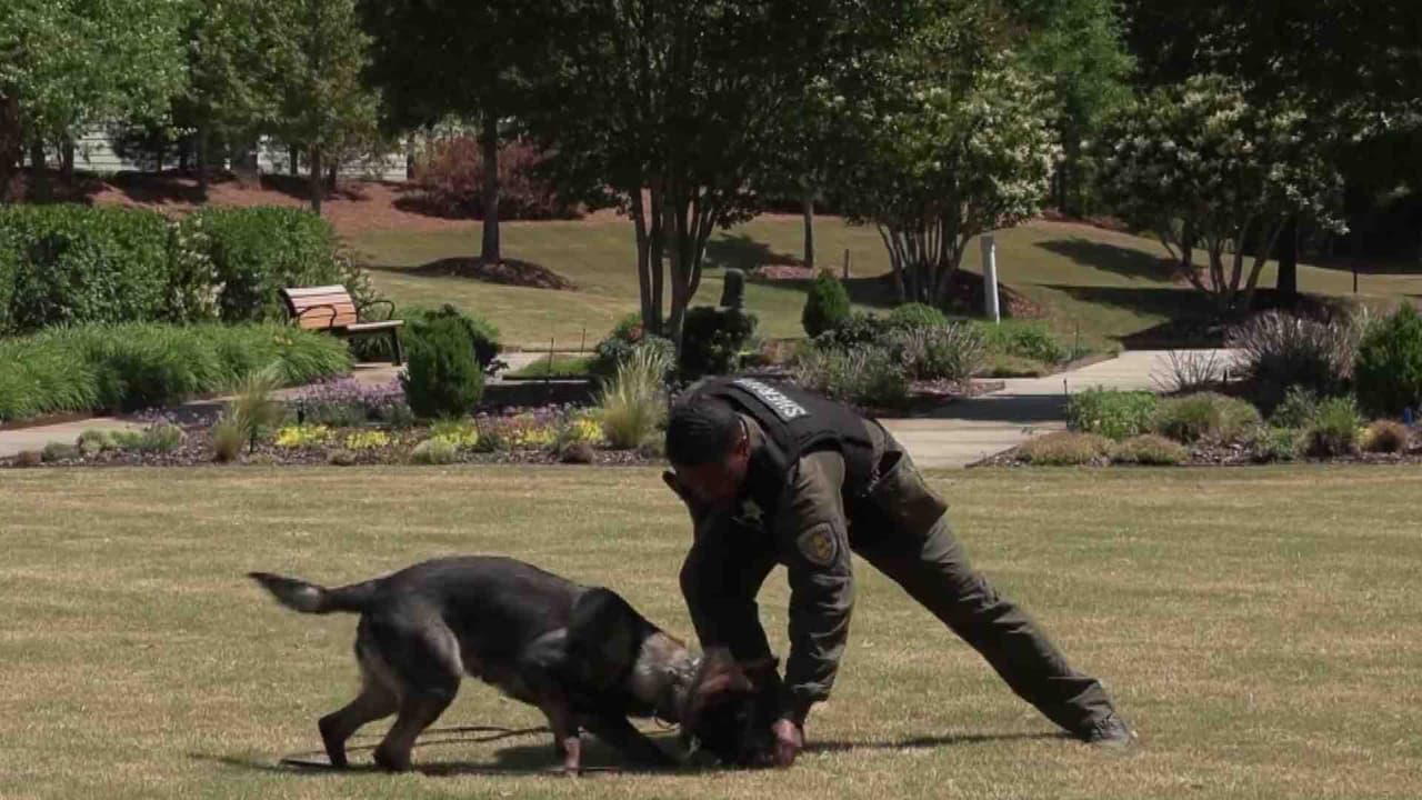 Oficina del alguacil de Durham da la bienvenida a oficial canino; comunidad donó para obtenerlo