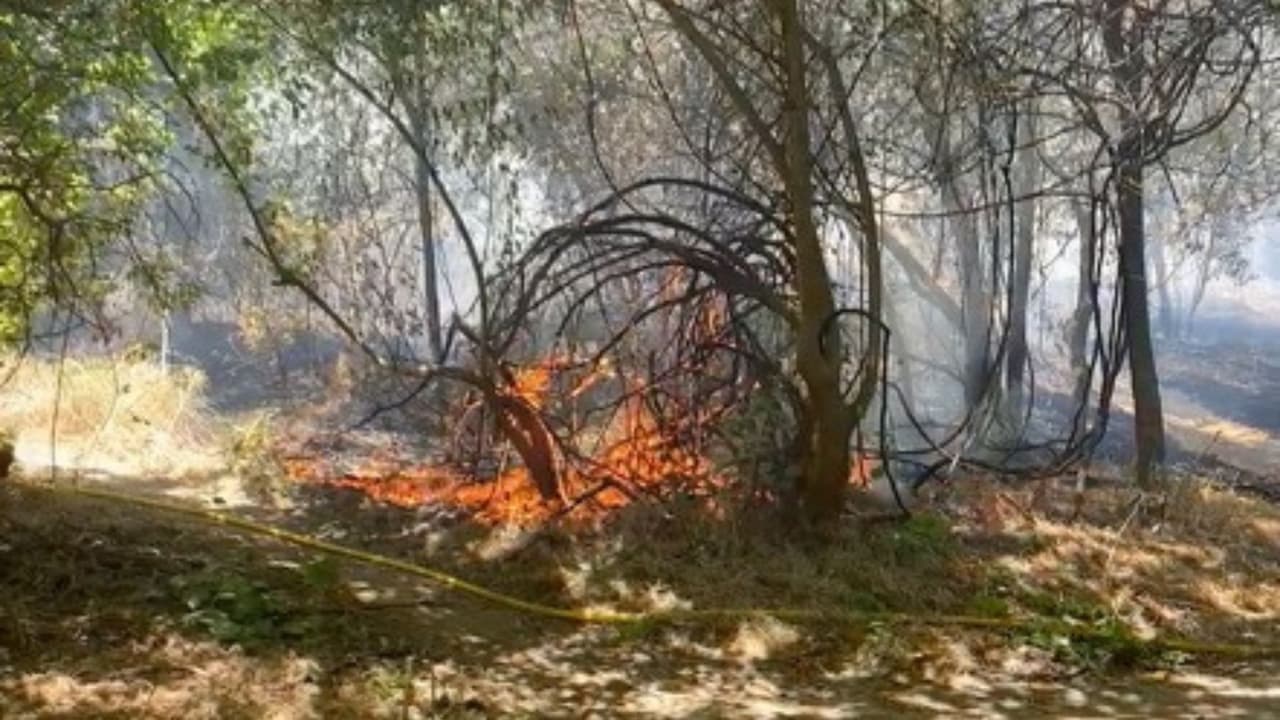 El avance de las llamas esta alimentado por el viento que acompaña las altas temperaturas.